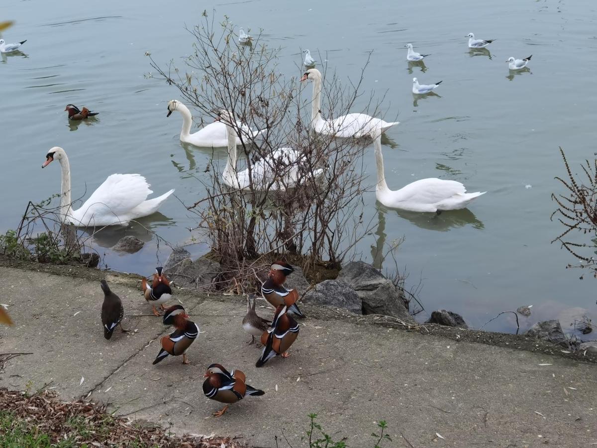 مبيت وإفطار لو بيرو سور مارن Les Pingouins De La Marne المظهر الخارجي الصورة